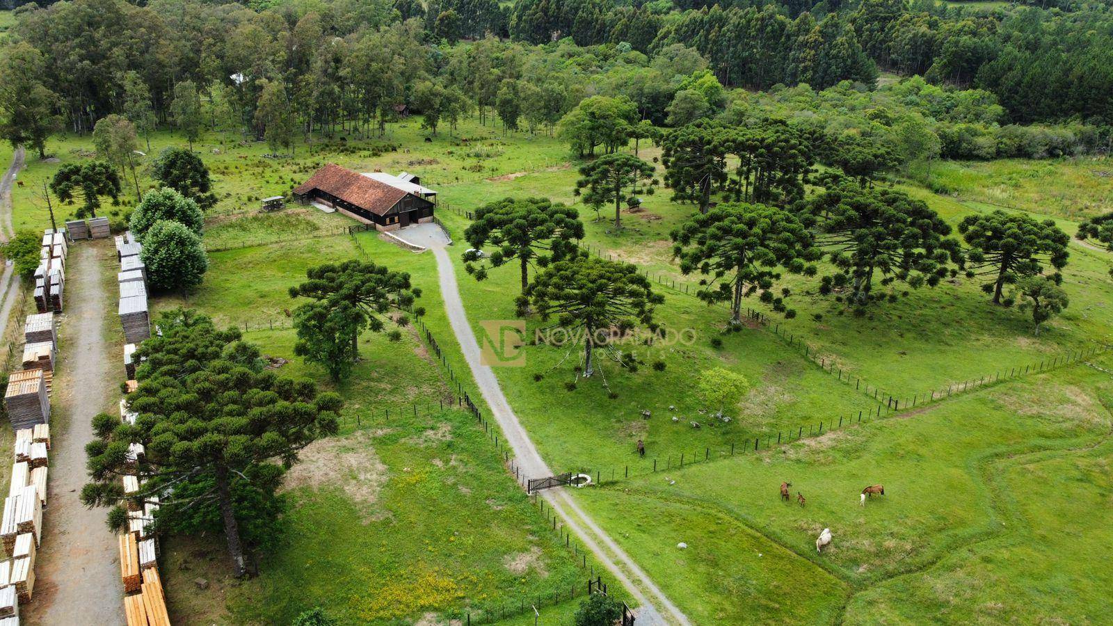 Sítio, 3 quartos, 4 hectares - Foto 8