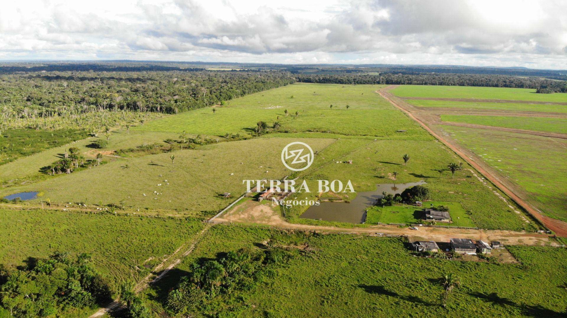 Fazenda à venda, 3968800M2 - Foto 12