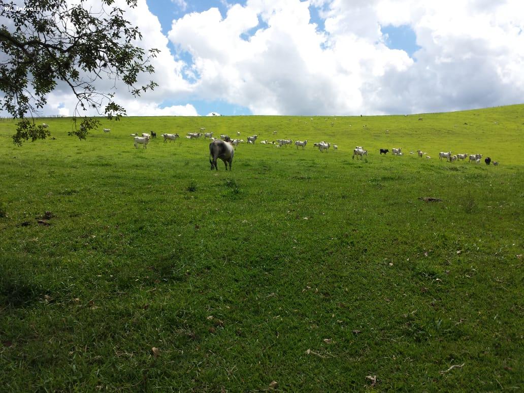 Fazenda à venda com 1 quarto, 120m² - Foto 14