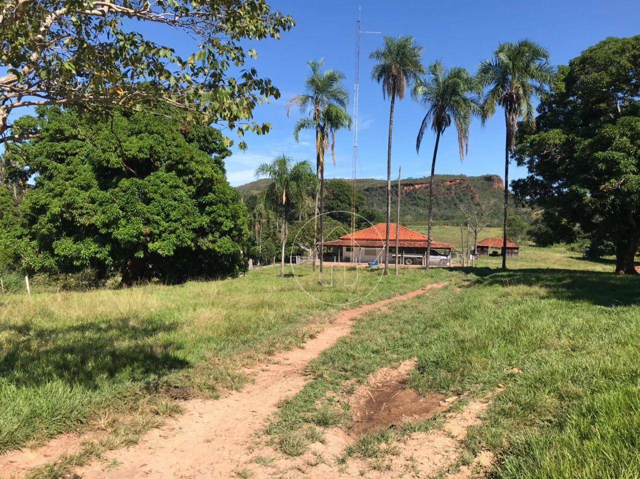 Fazenda-Sítio-Chácara, 3793 hectares - Foto 2