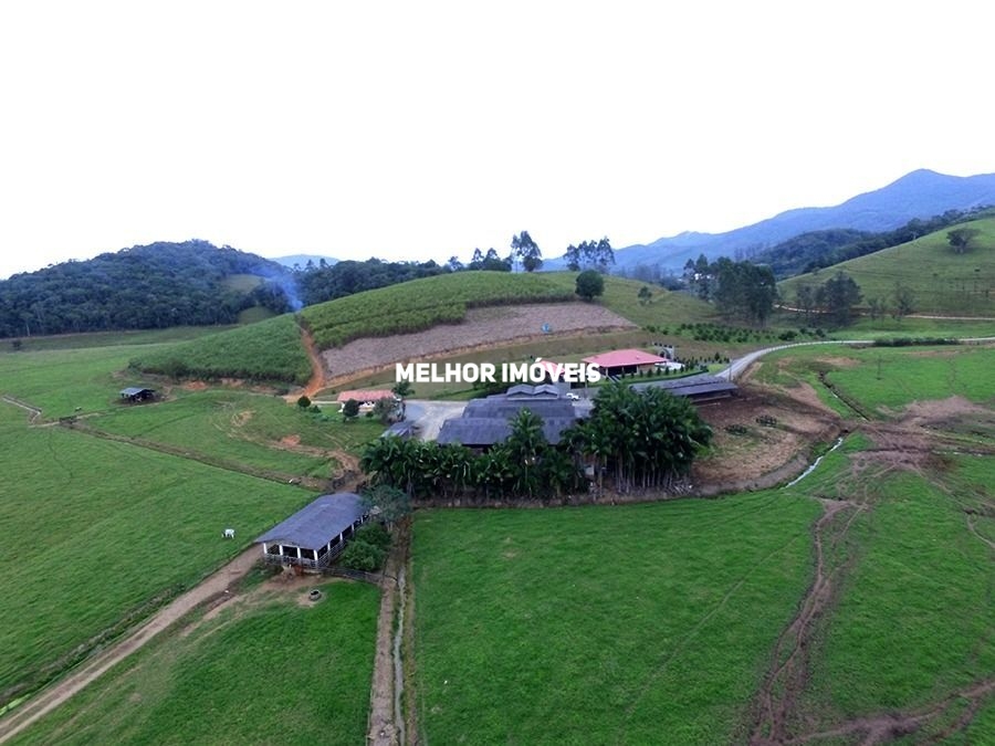 Fazenda-Sítio-Chácara, 100 hectares - Foto 3