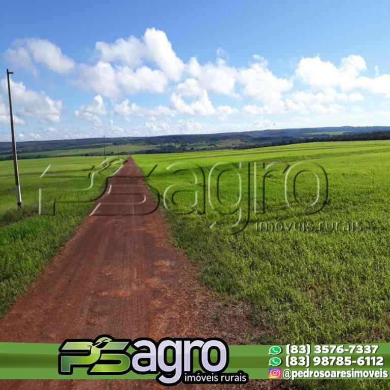 Fazenda-Sítio-Chácara, 7982 hectares - Foto 1