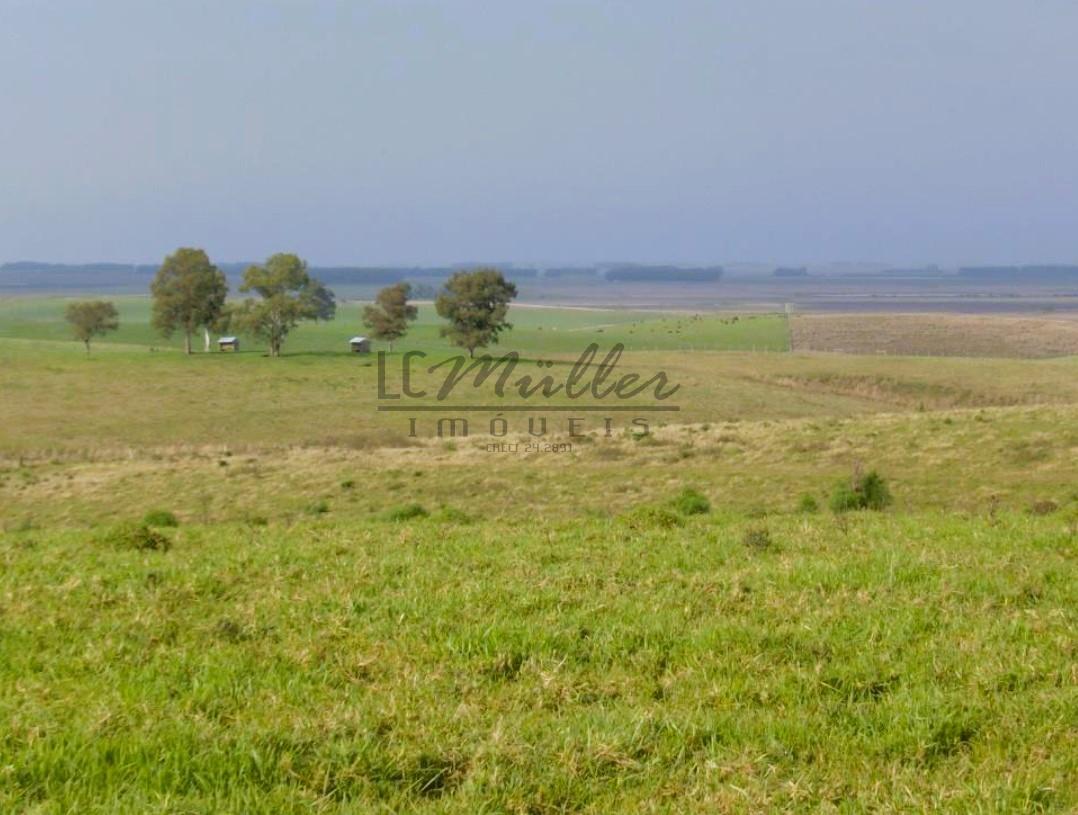 Fazenda à venda, 116m² - Foto 10