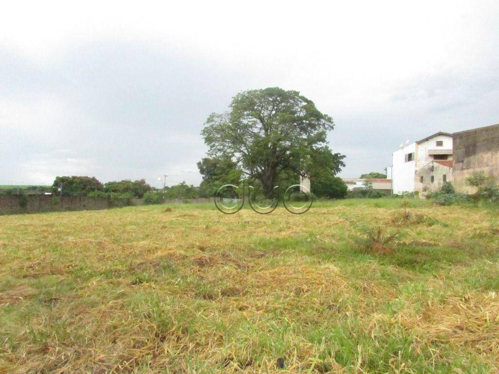Terreno para alugar, 5000M2 - Foto 1