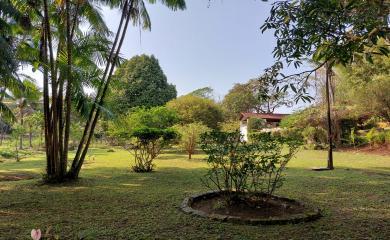 Fazenda à venda com 4 quartos, 50000m² - Foto 19