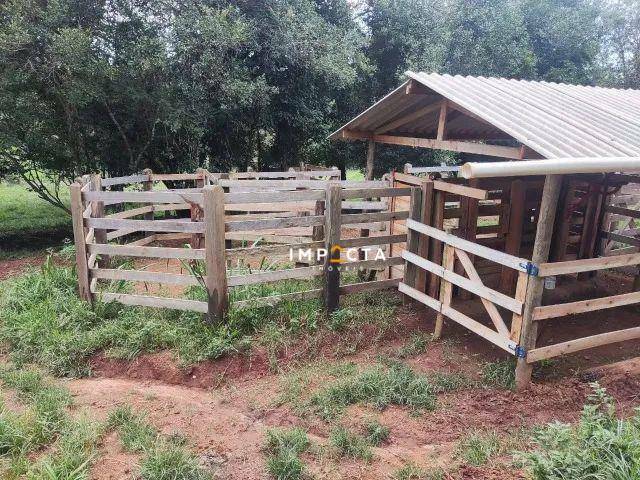 Sítio à venda com 2 quartos, 60500M2 - Foto 5