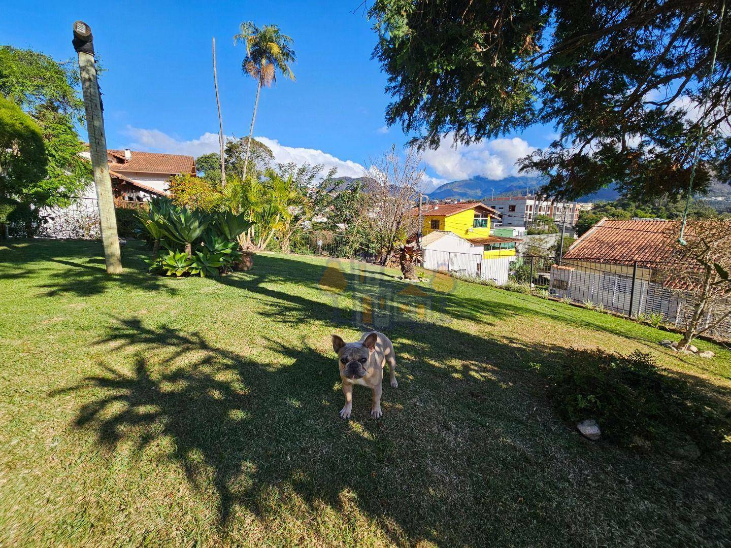 Casa à venda com 4 quartos, 456m² - Foto 4