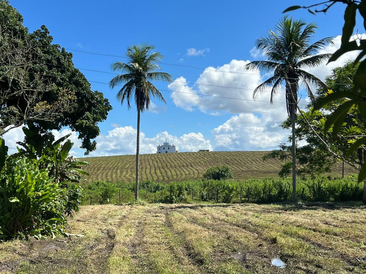 Fazenda à venda com 8 quartos, 1000m² - Foto 17