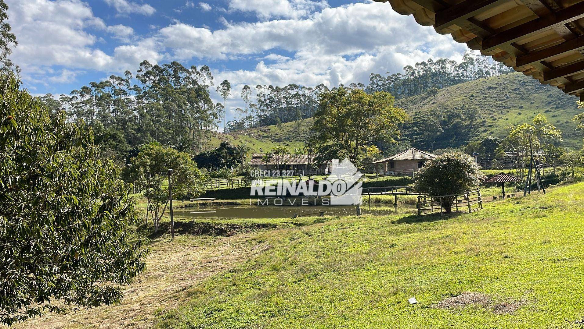 Fazenda à venda com 8 quartos, 900m² - Foto 96