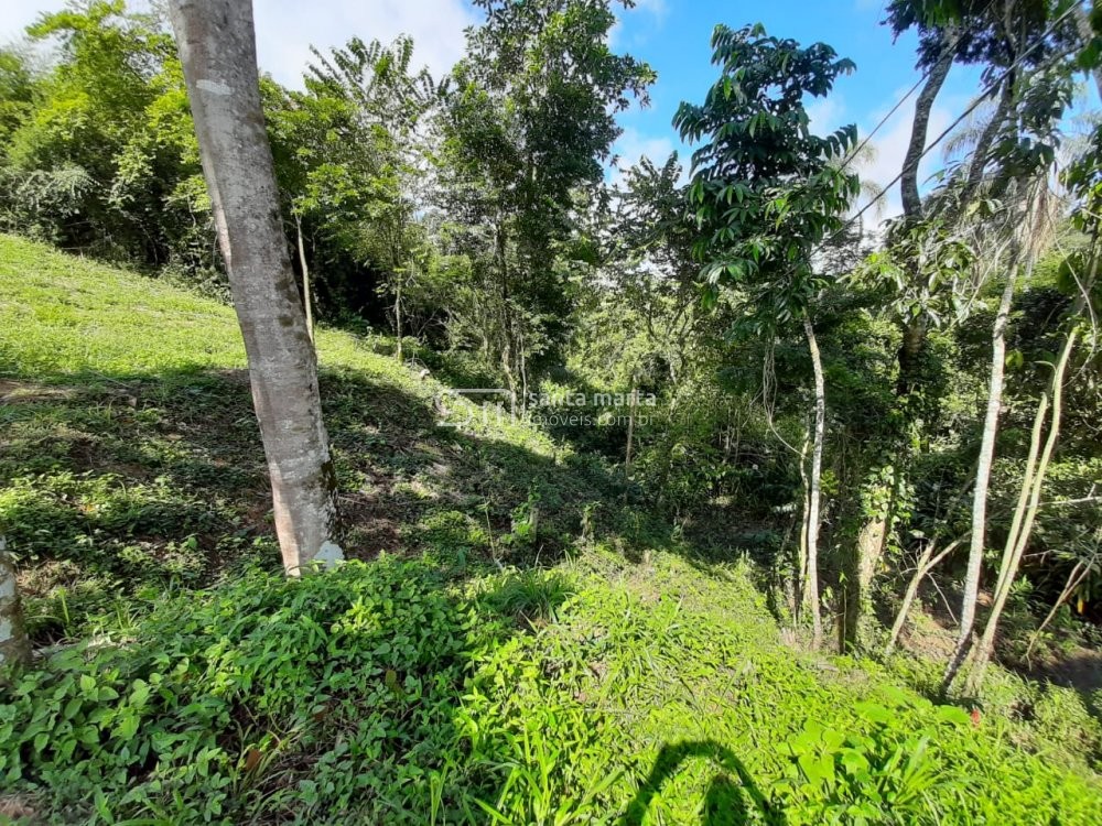 Fazenda à venda com 3 quartos, 150m² - Foto 2