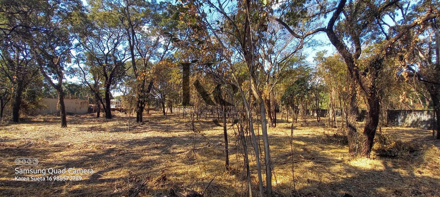 Fazenda à venda, 5850m² - Foto 4