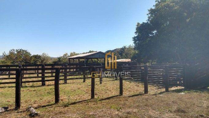 Fazenda à venda com 3 quartos, 7160000M2 - Foto 3