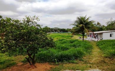 Sítio à venda com 3 quartos, 10000m² - Foto 11
