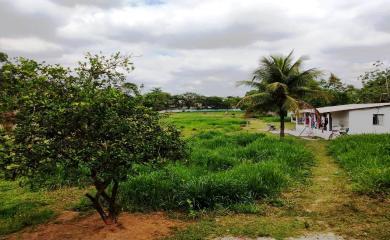 Fazenda à venda com 3 quartos, 10000m² - Foto 11