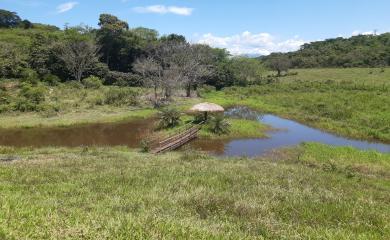 Fazenda à venda com 2 quartos, 145000m² - Foto 12