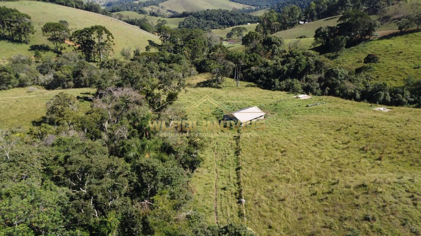 Fazenda à venda, 100m² - Foto 4