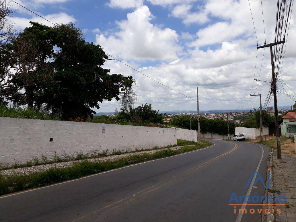 Terreno à venda, 5000M2 - Foto 6