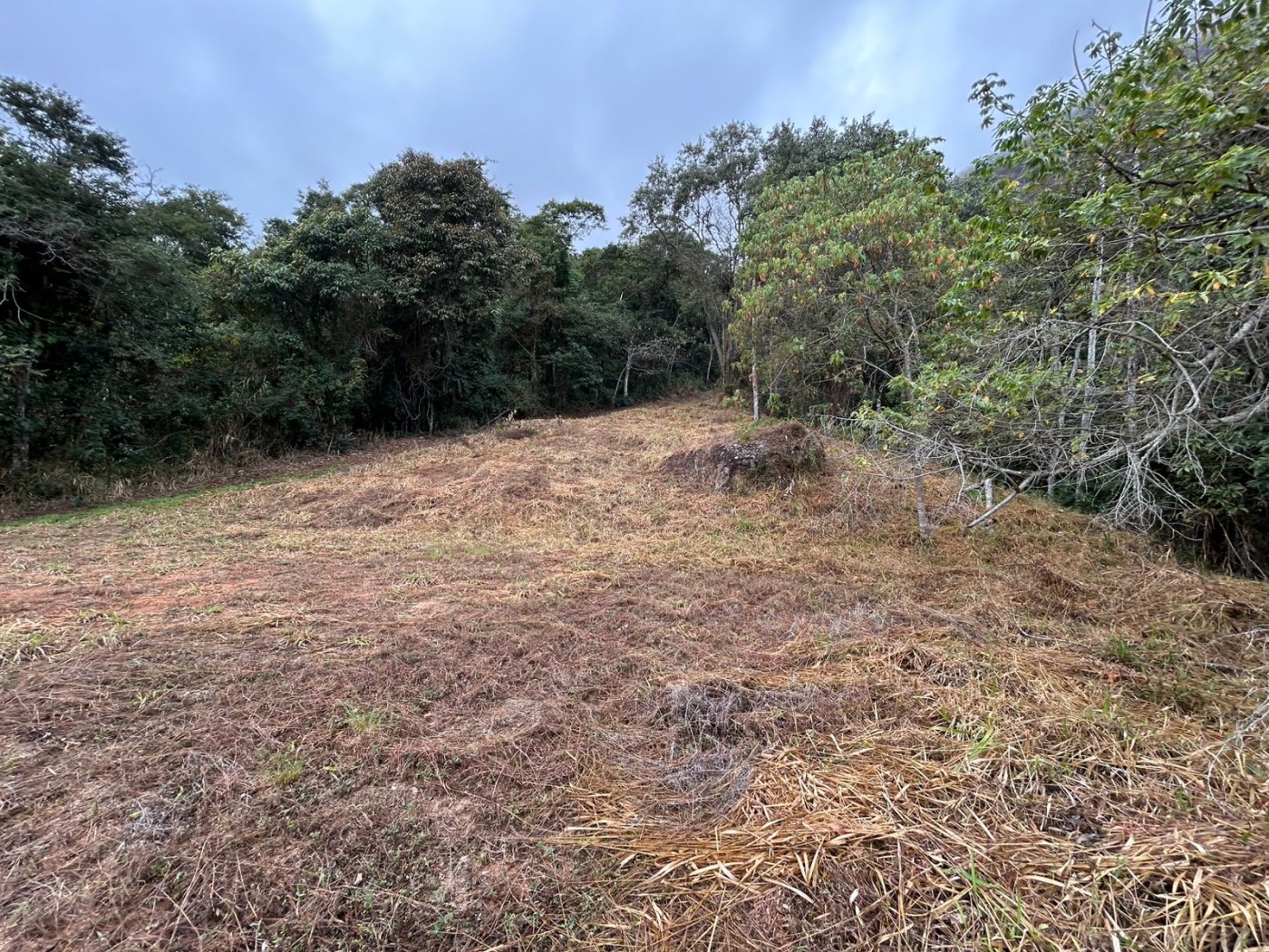 Terreno à venda, 178000m² - Foto 29