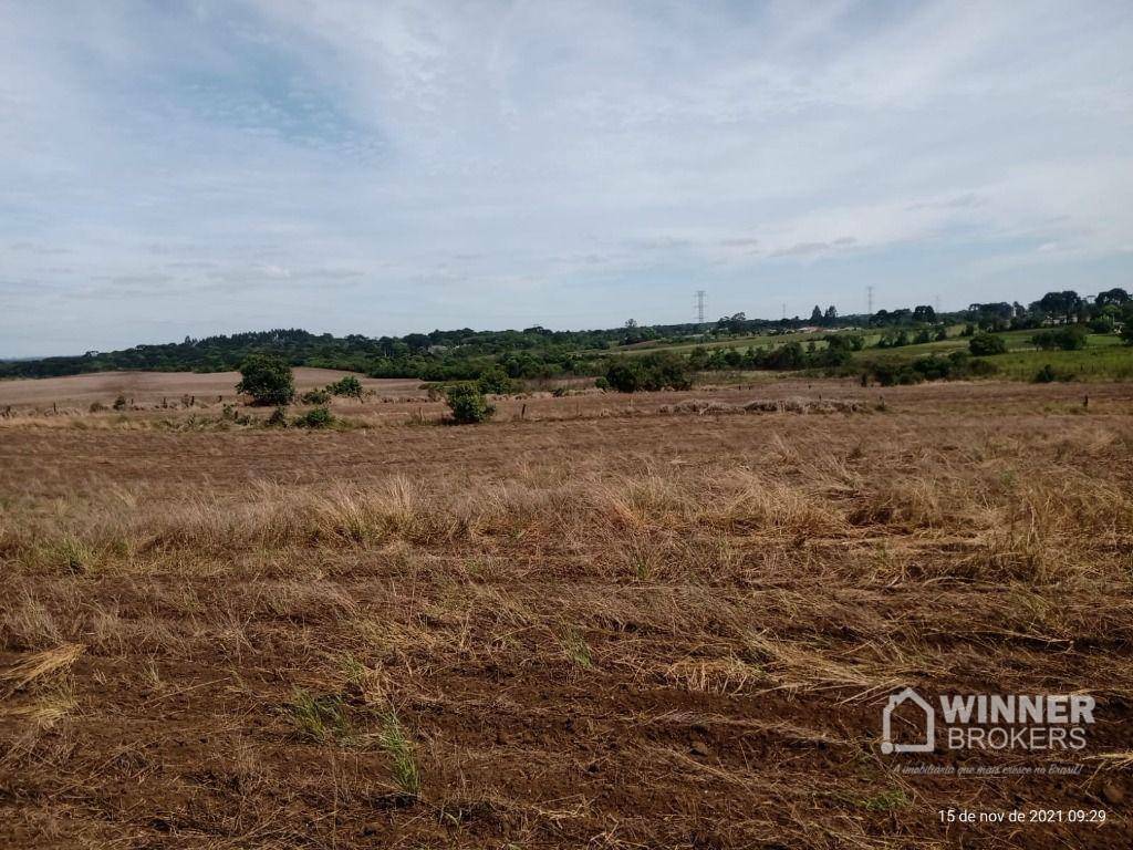 Terreno à venda, 41125M2 - Foto 13