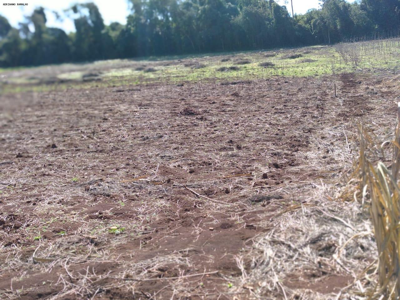 Fazenda para alugar com 3 quartos, 20000m² - Foto 14