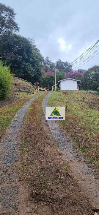 Chácara à venda com 4 quartos, 36700M2 - Foto 11