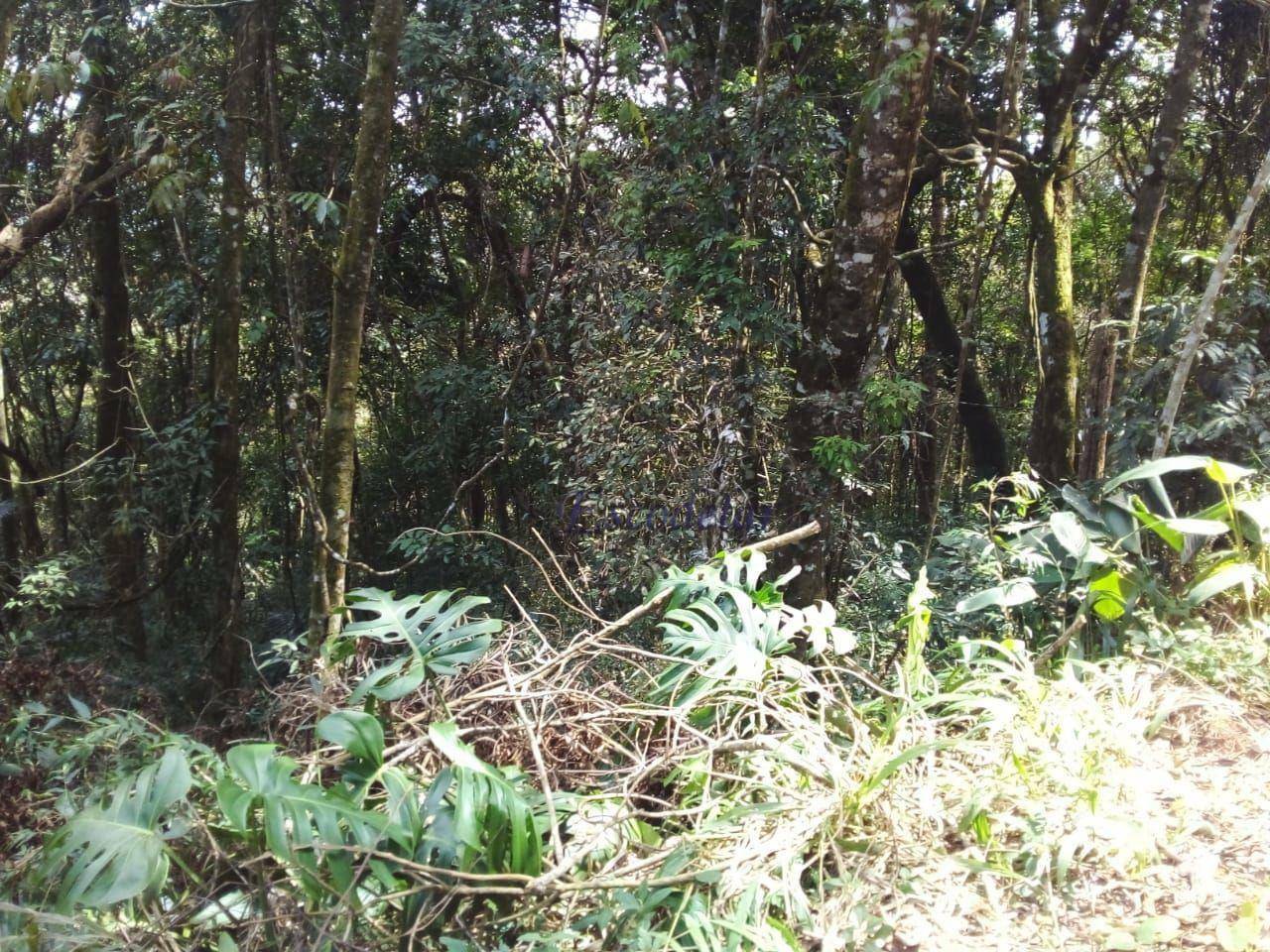 Loteamento e Condomínio à venda, 2017M2 - Foto 4