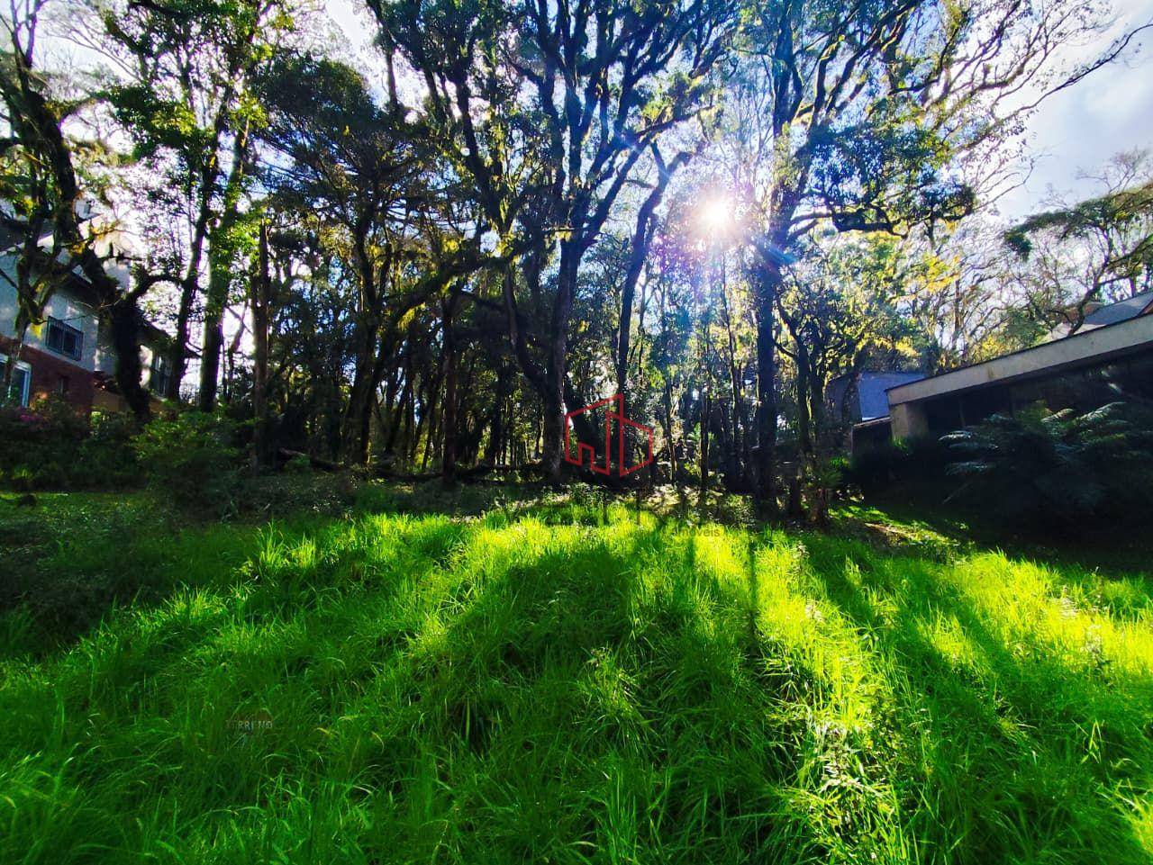 Loteamento e Condomínio, 672 m² - Foto 5