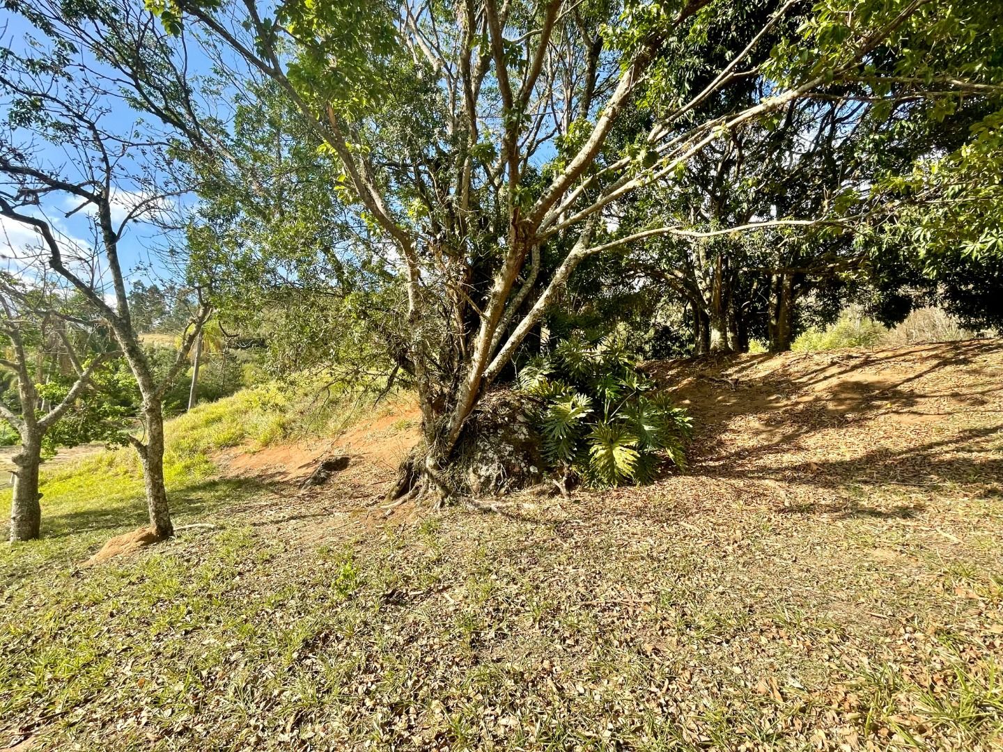 Loteamento e Condomínio à venda, 3929M2 - Foto 11