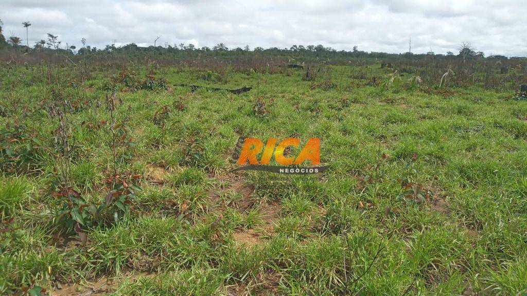 Fazenda-Sítio-Chácara, 400 hectares - Foto 3