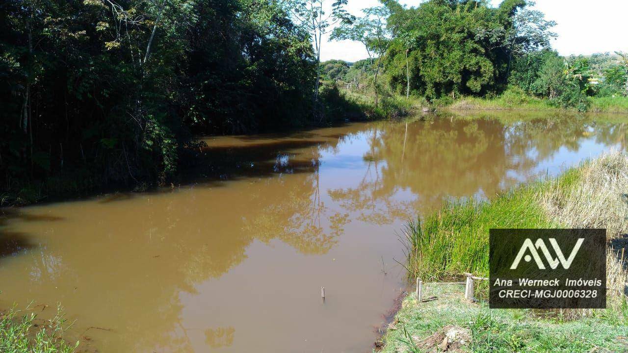 Chácara à venda com 3 quartos, 10000M2 - Foto 22