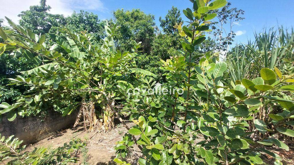 Terreno à venda, 360M2 - Foto 5