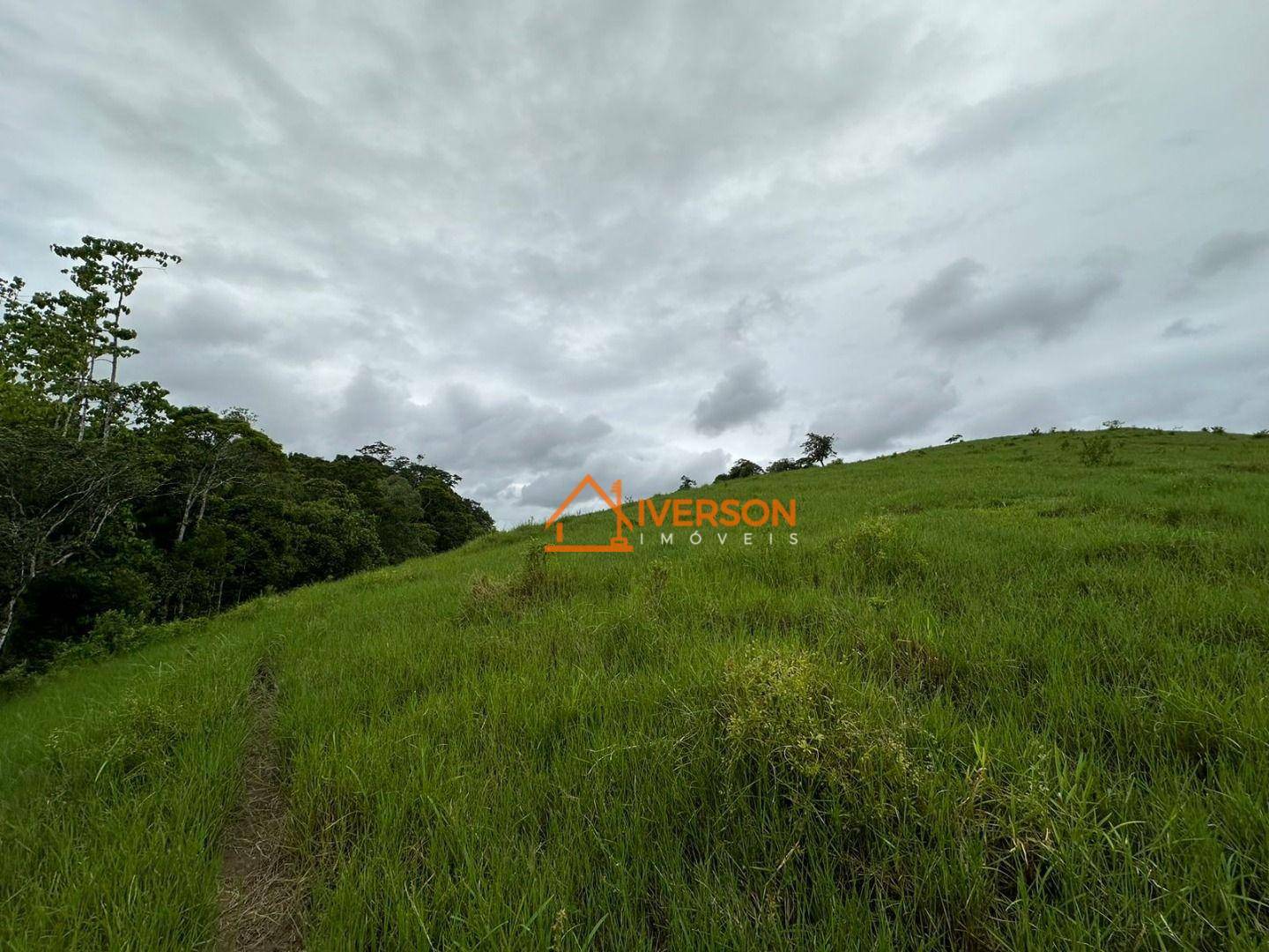 Sítio à venda com 3 quartos, 200m² - Foto 38