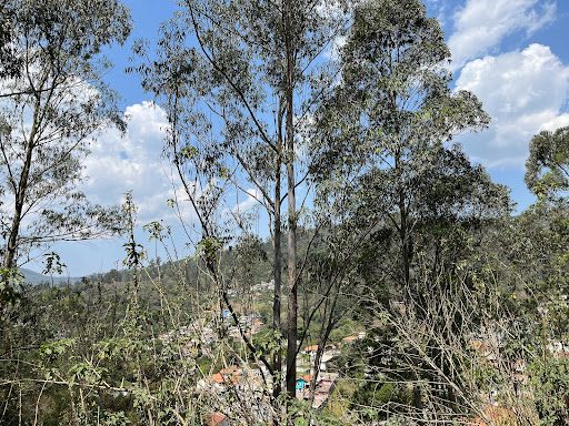 Terreno à venda, 695M2 - Foto 2