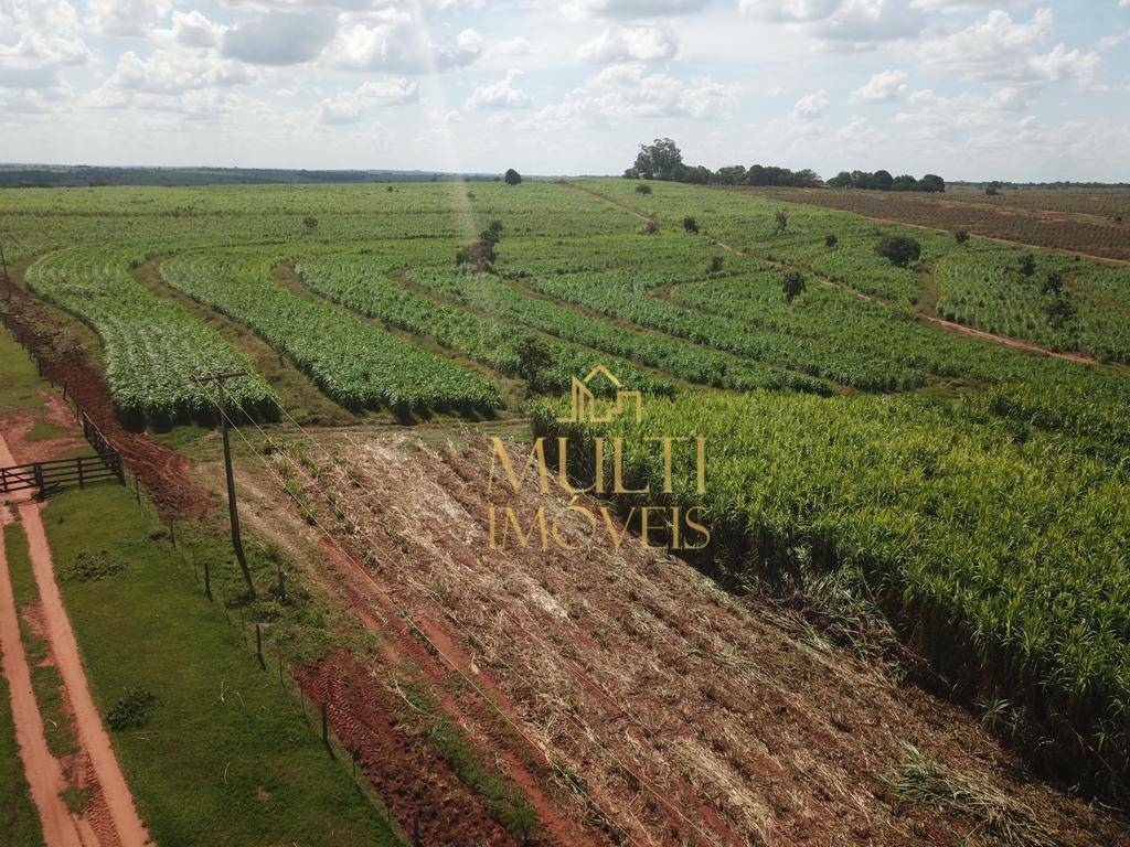 Fazenda à venda com 3 quartos, 2538338M2 - Foto 12