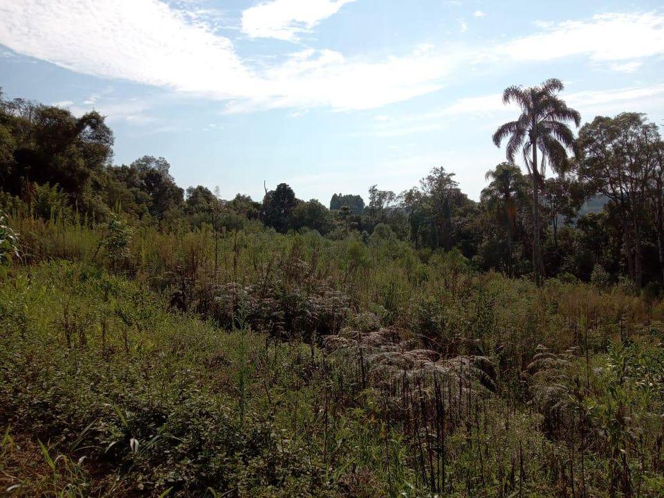 Fazenda à venda com 3 quartos, 130000m² - Foto 7