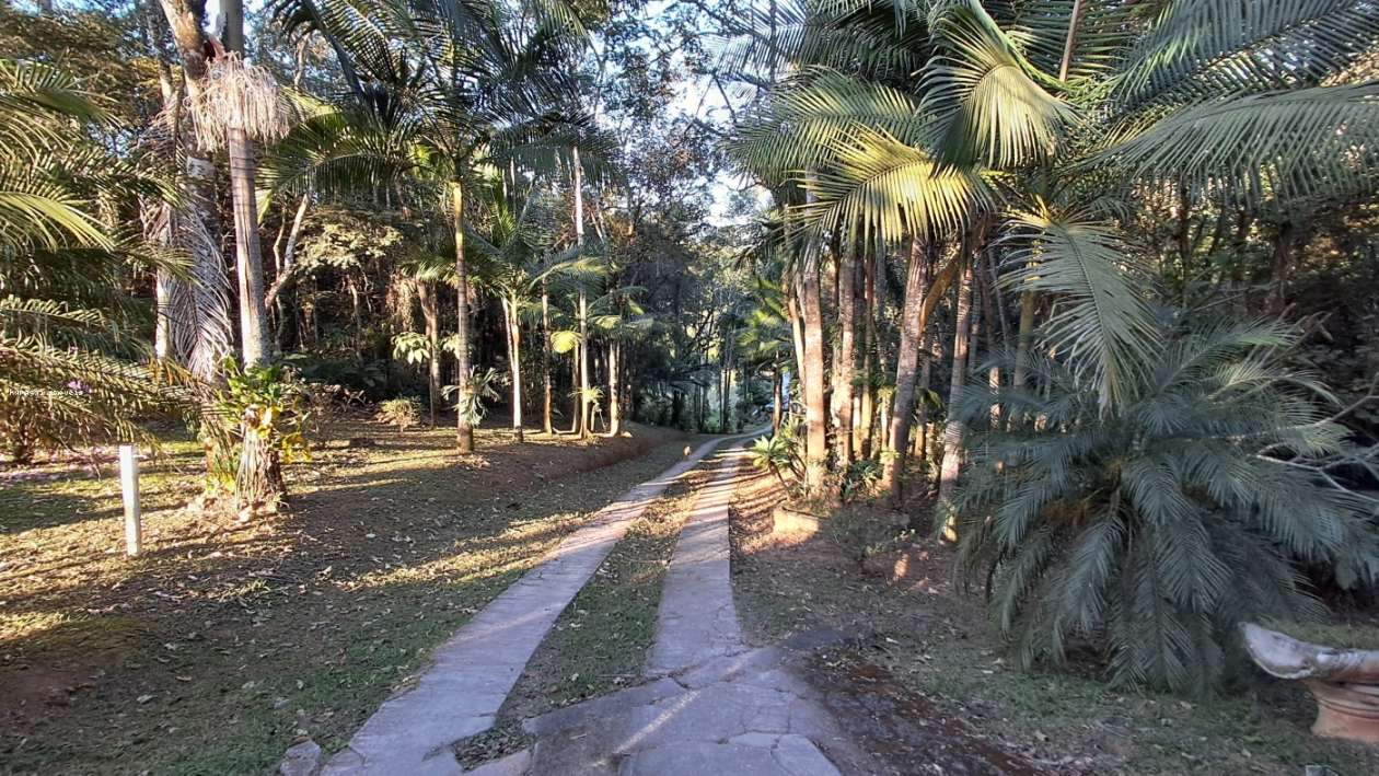 Chácara à venda com 5 quartos, 24000m² - Foto 4