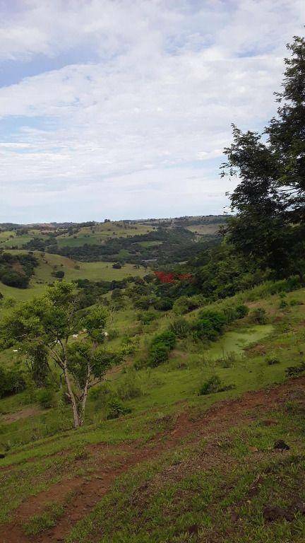 Fazenda à venda, 203M2 - Foto 2