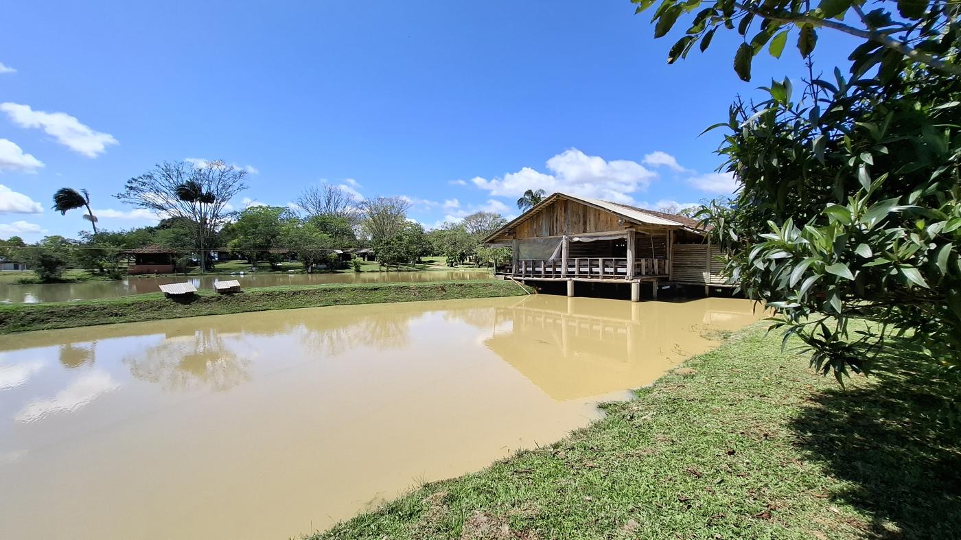 Fazenda à venda com 4 quartos, 950000m² - Foto 42