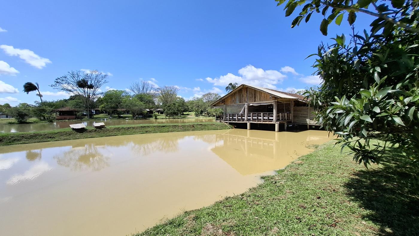 Fazenda à venda com 4 quartos, 1040000m² - Foto 42