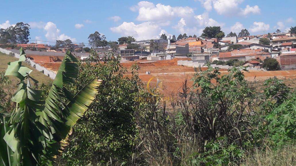 Terreno à venda, 1049M2 - Foto 2