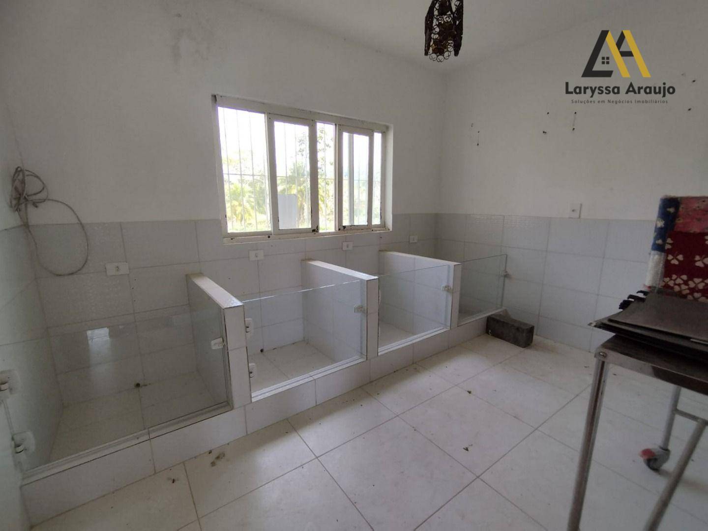 Sítio à venda com 3 quartos, 300m² - Foto 23