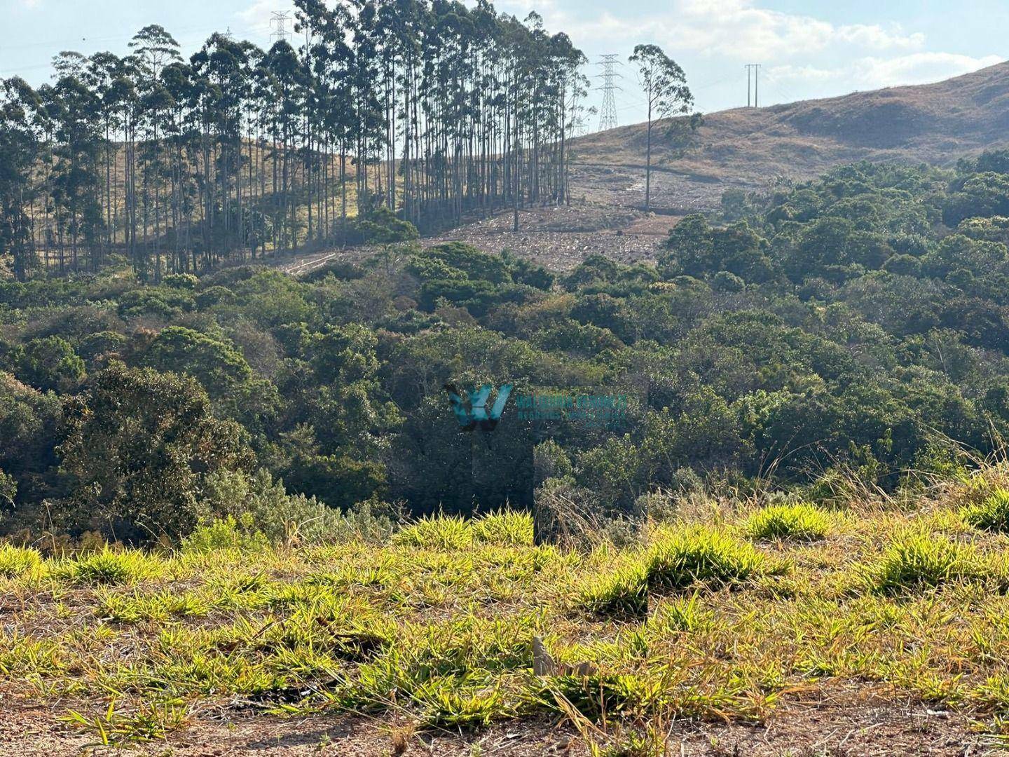 Terreno à venda, 250M2 - Foto 1