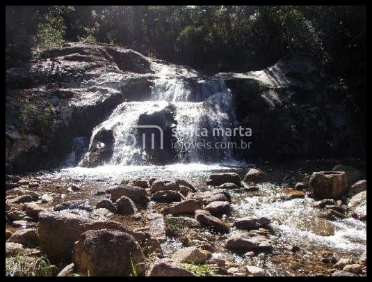 Fazenda-Sítio-Chácara, 78 hectares - Foto 4