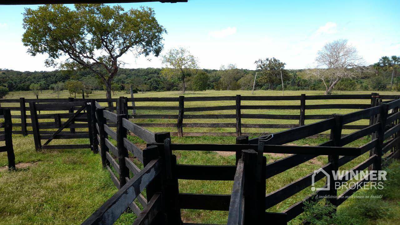 Fazenda à venda com 2 quartos, 4500000M2 - Foto 54