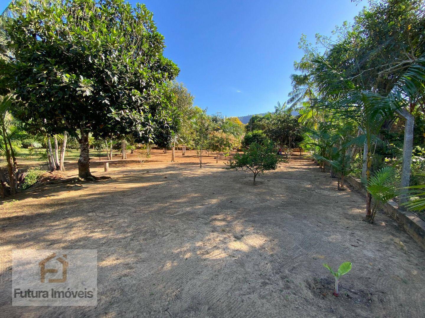 Chácara à venda com 3 quartos, 6000M2 - Foto 18