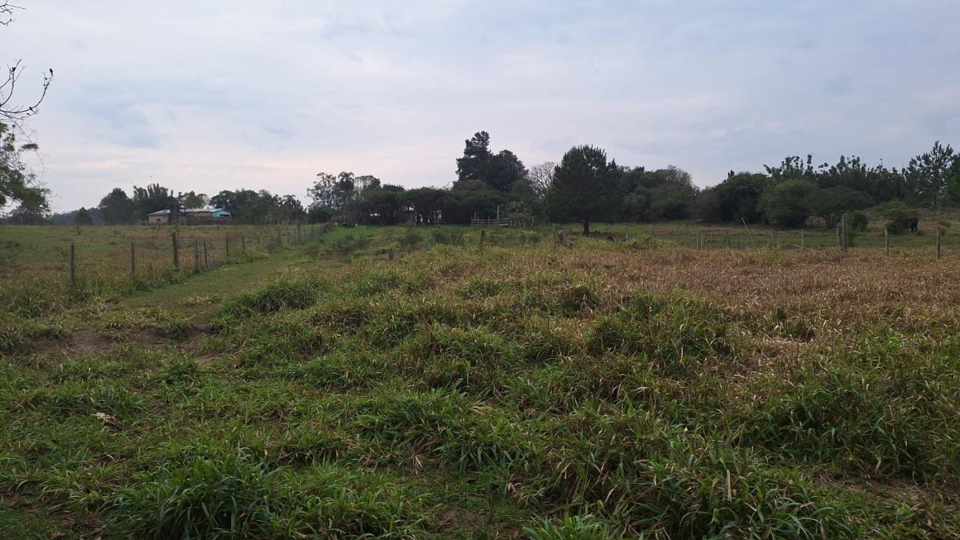 Chácara à venda com 2 quartos, 6790m² - Foto 11