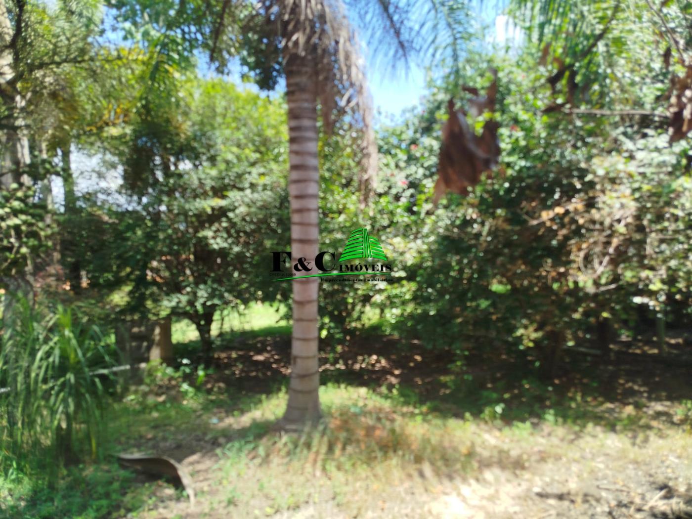 Chácara à venda com 4 quartos, 11200m² - Foto 14