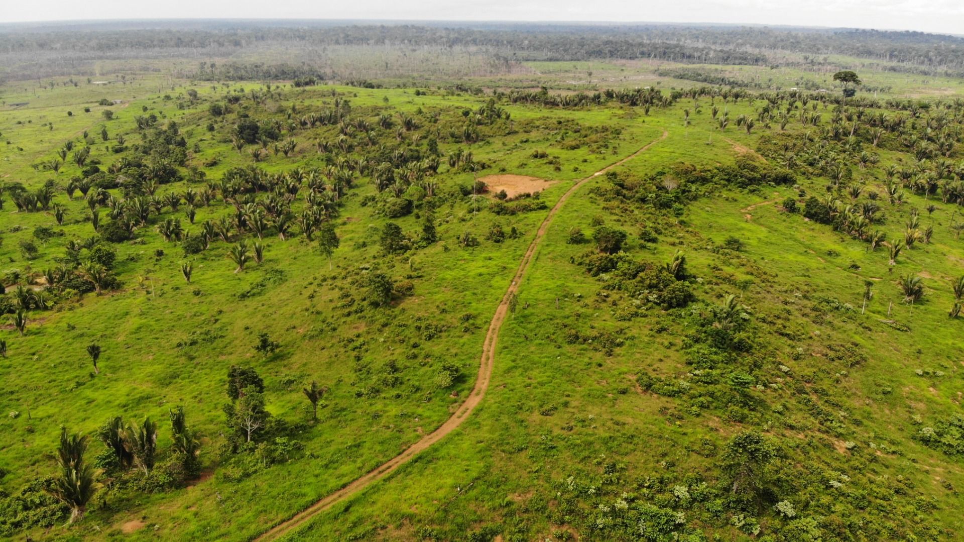 Fazenda à venda, 13648800M2 - Foto 18