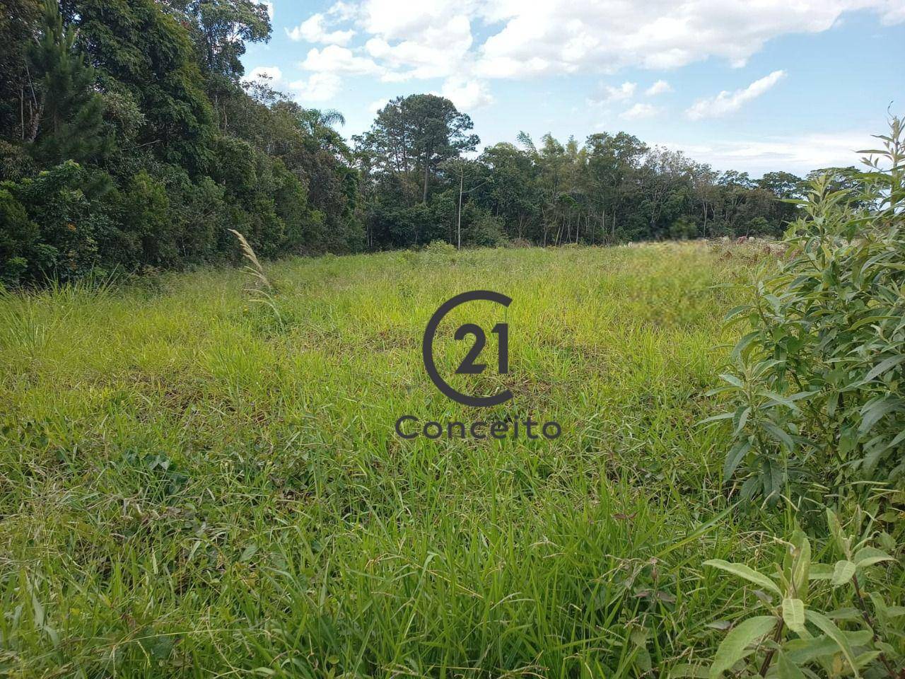 Loteamento e Condomínio à venda, 1161M2 - Foto 2
