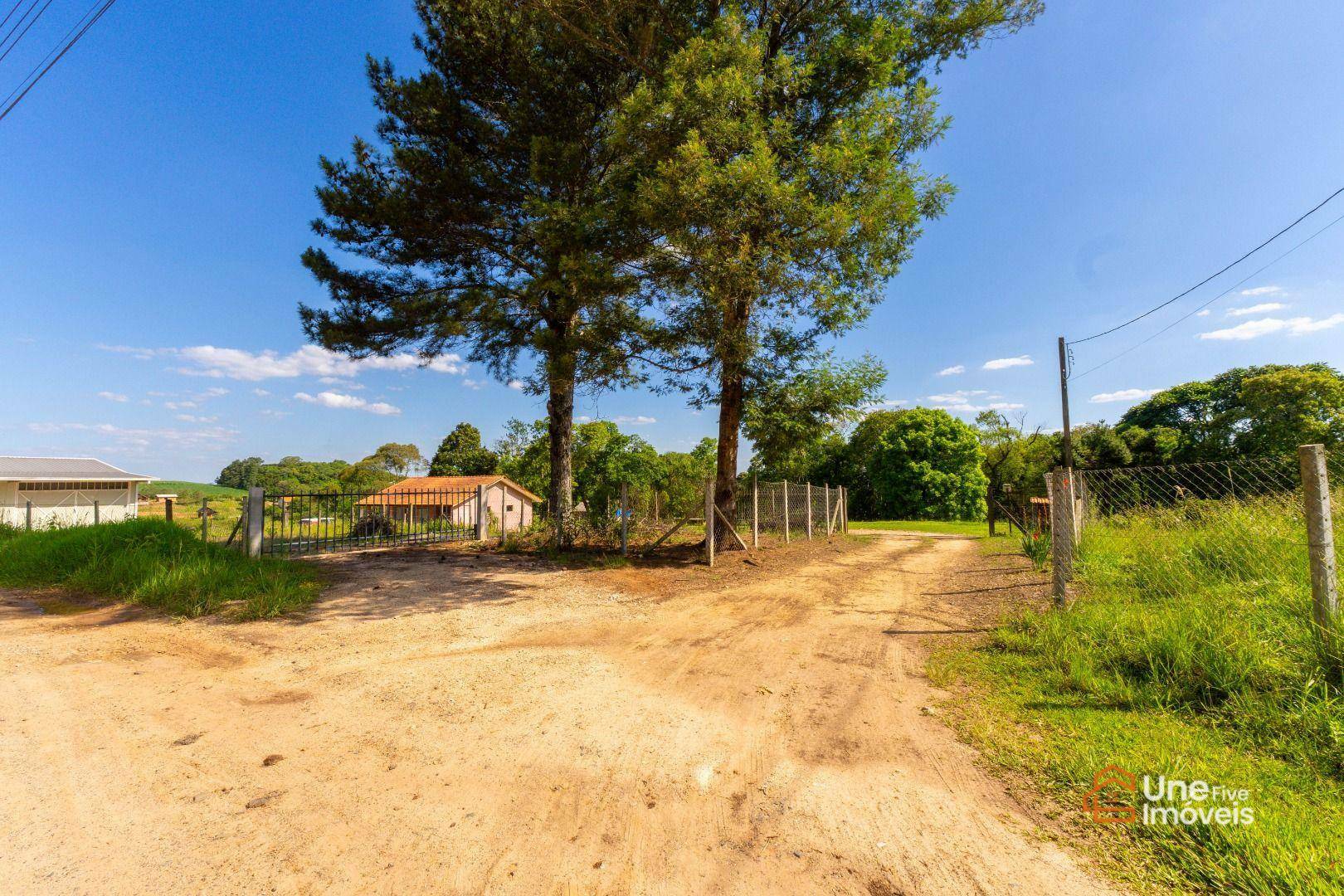 Chácara, 3 quartos, 9075 m² - Foto 4